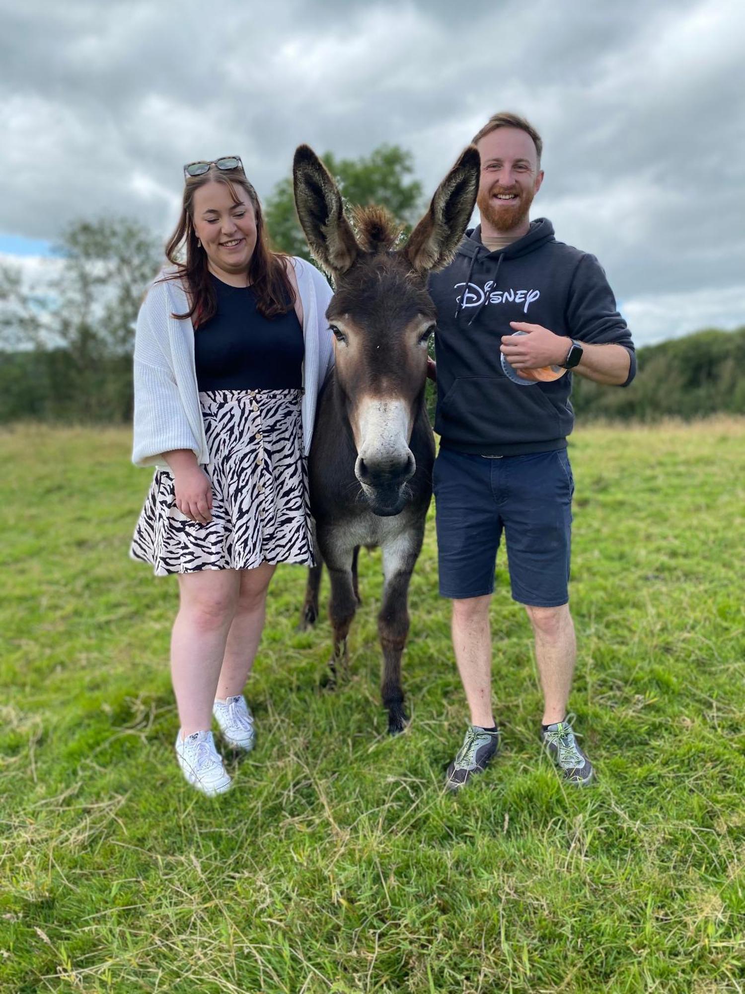 Unique Stay On An Alpaca Therapy Farm With Miniature Donkeys North Wales Mold Esterno foto